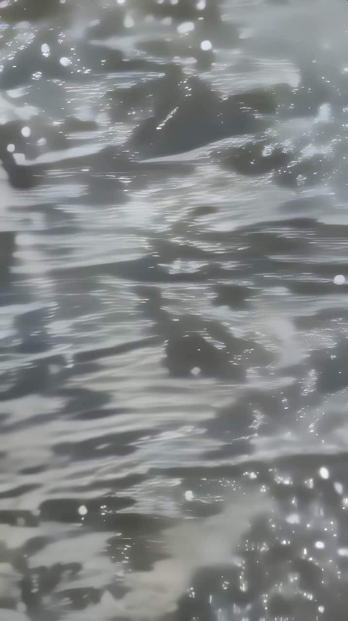 2021 10 In Situ, Alex Fischer